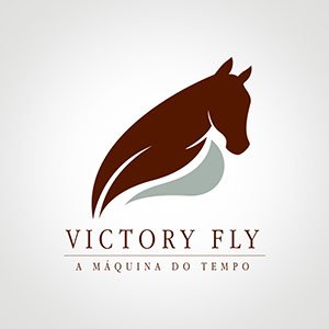Victory Fly